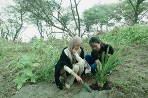 voluntiiran-tanam-pandan-11-300x200